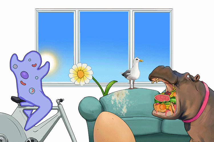 My living room was full of beings that have movement, respiration, sensitivity, growth, reproduction, excretion and nutrition